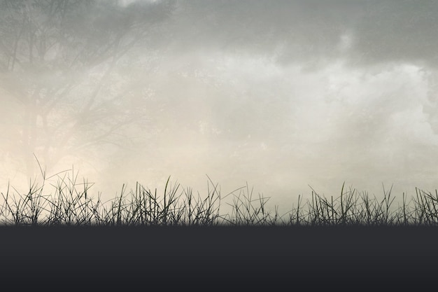 欢迎使用Z-BlogPHP！